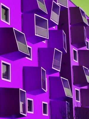 Purple windows
