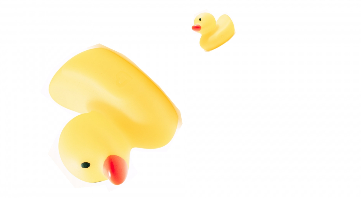 Rubber ducks