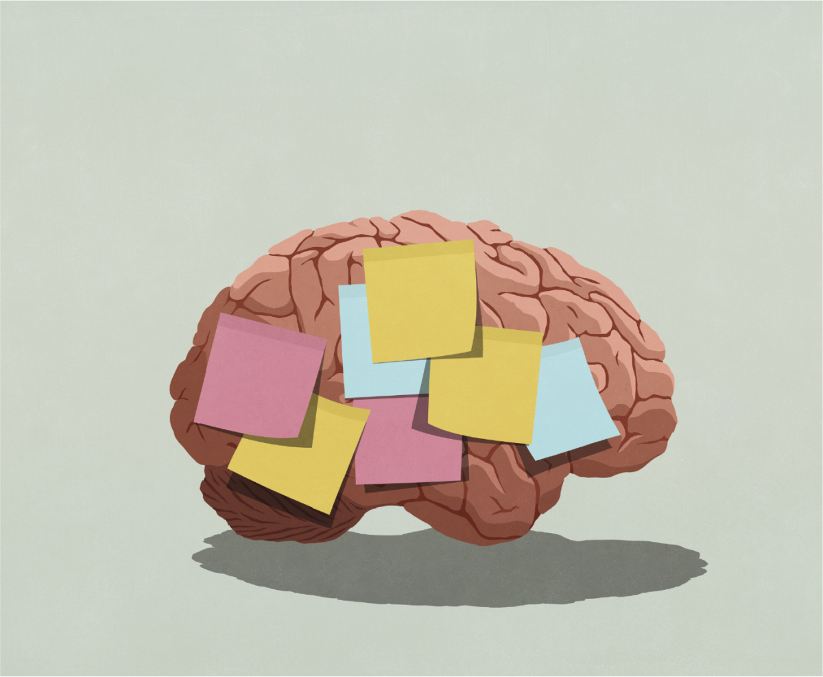 Illustration of colourful sticky notes on a brain. 