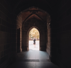 Dark pointed archway. 